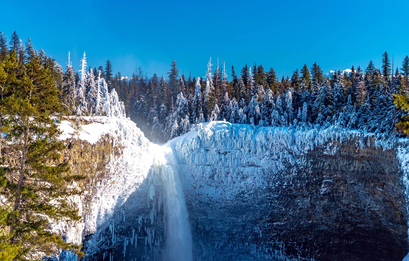 Photo wallpaper ice, winter, frost