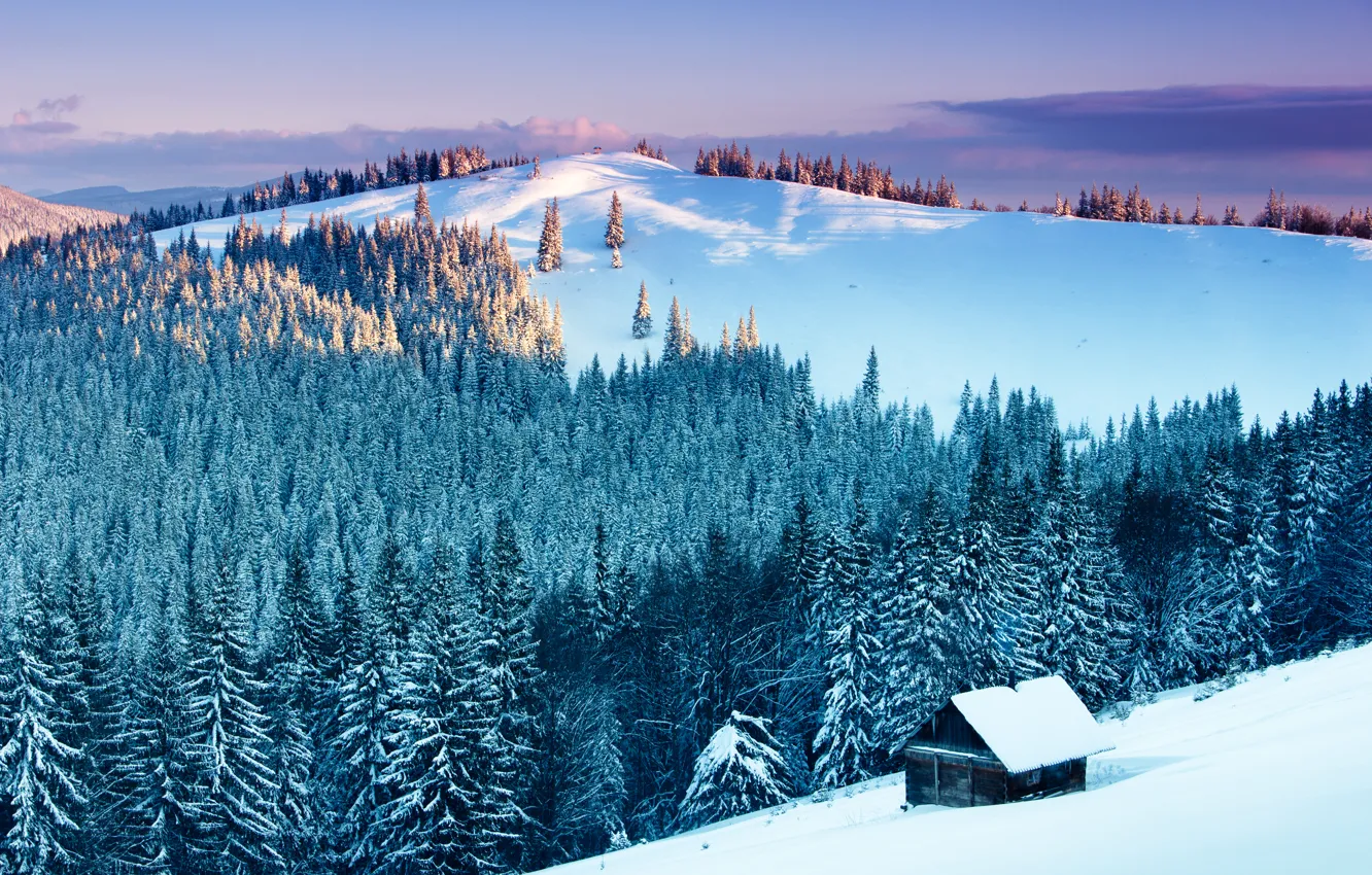 Photo wallpaper winter, forest, snow, landscape, mountains, nature, spruce