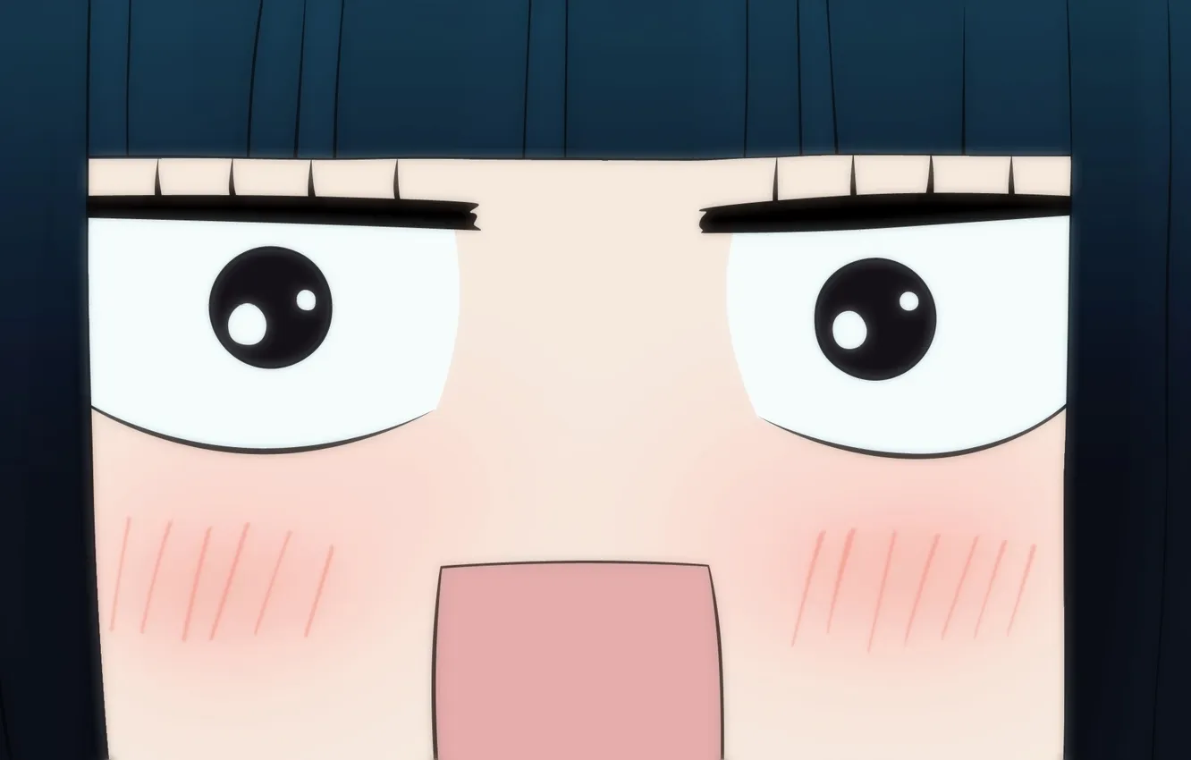 Photo wallpaper kimi ni todoke, To reach you, To get through to you, kuronuma each