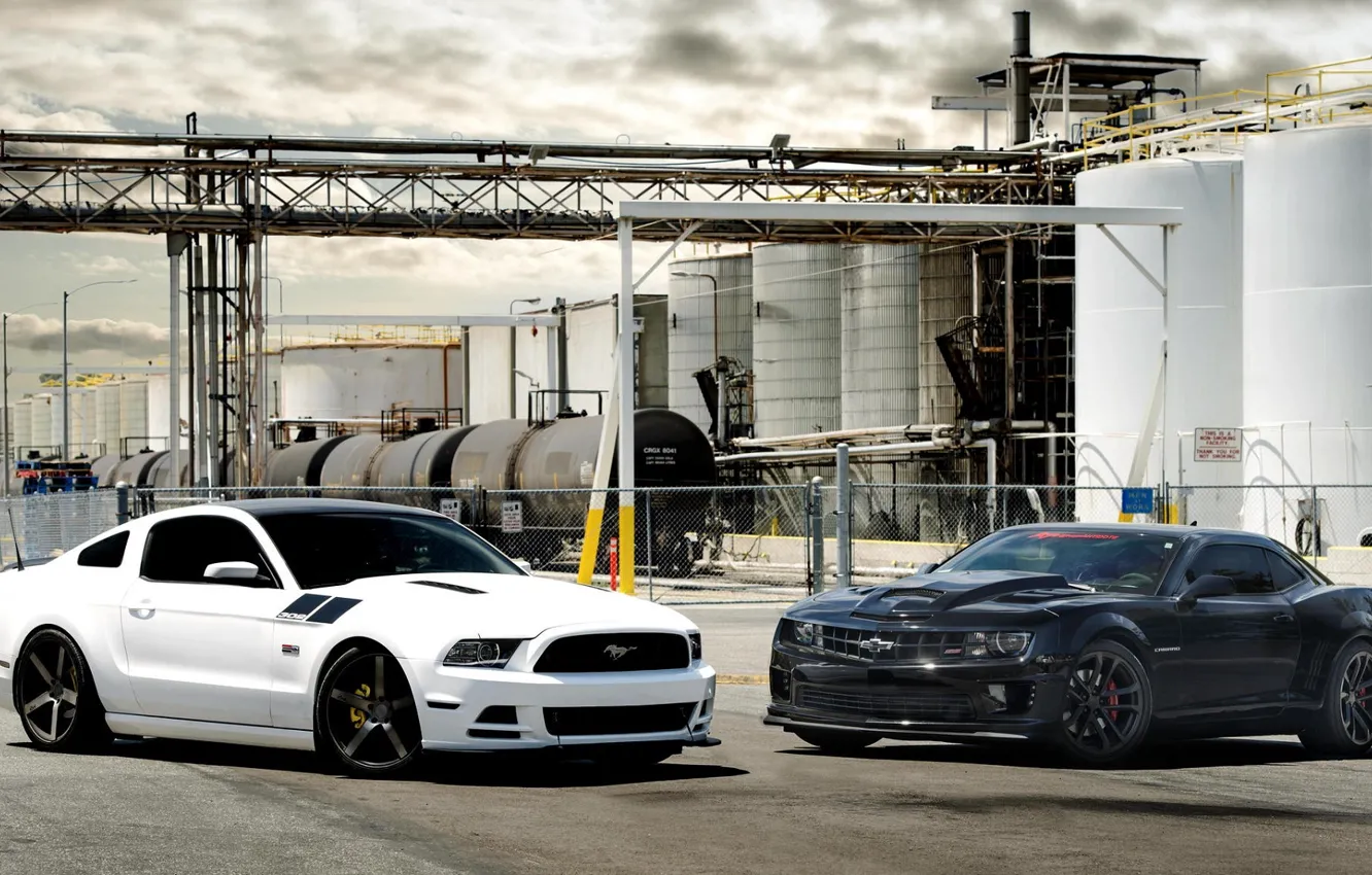 Photo wallpaper Mustang, Ford, White, Chevrolet, Ford, Muscle, Camaro, Chevrolet