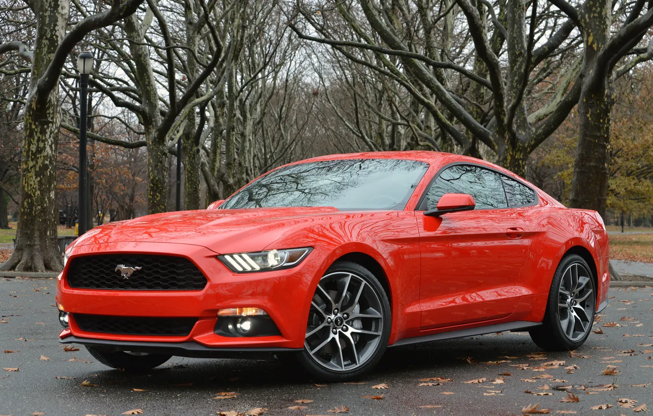 Photo wallpaper mustang, ford, coupe