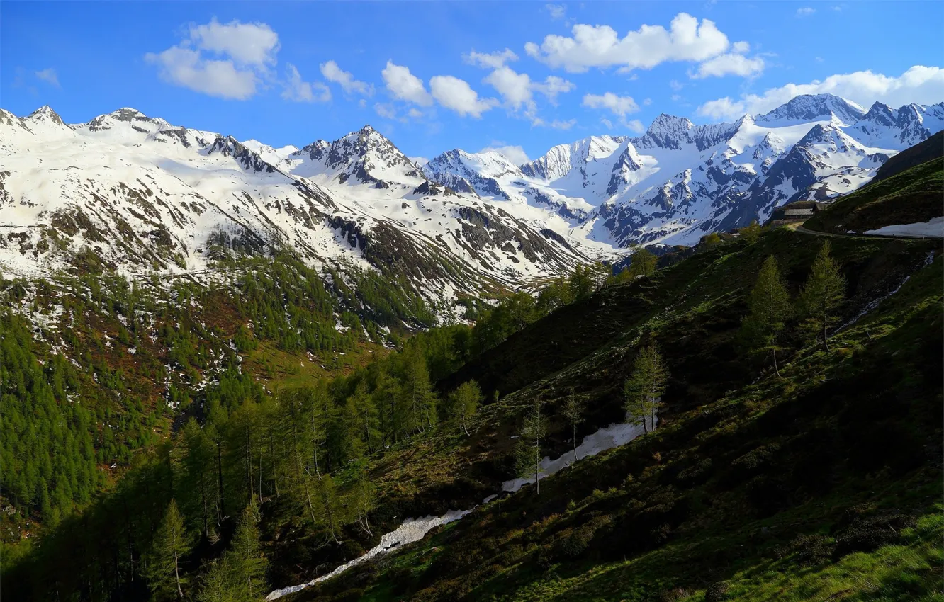 Photo wallpaper the sky, clouds, trees, mountains, slope
