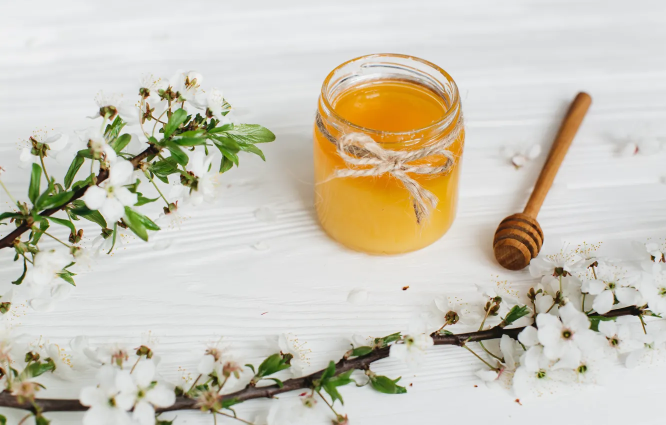 Photo wallpaper flowers, branches, honey