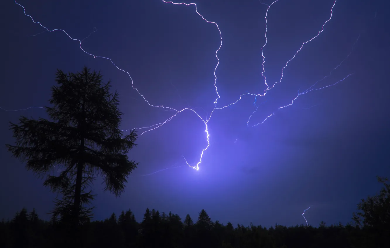 Photo wallpaper trees, night, lightning