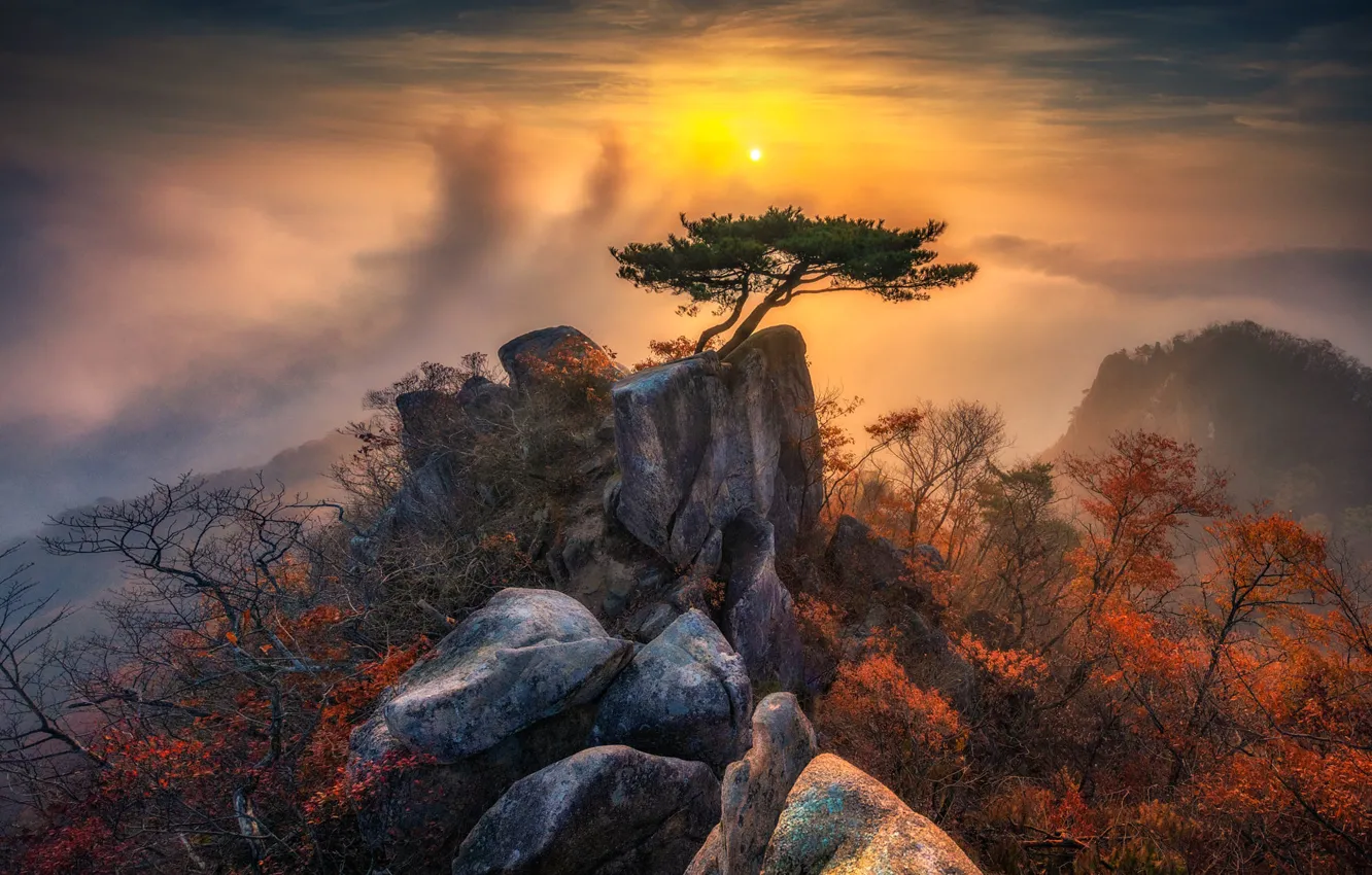 Photo wallpaper autumn, the sky, the sun, clouds, trees, mountains, fog, stones