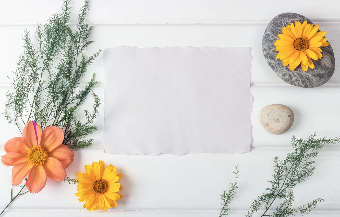 Photo wallpaper flowers, pebbles, branch greenery