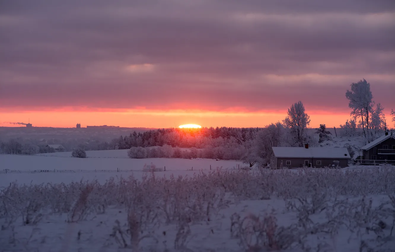 Photo wallpaper winter, snow, morning, sunrise