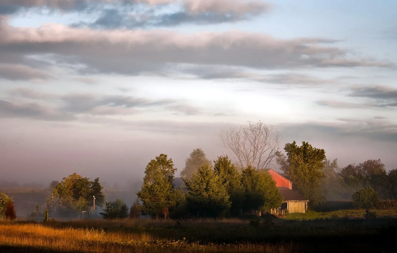 Photo wallpaper field, landscape, sunset, home