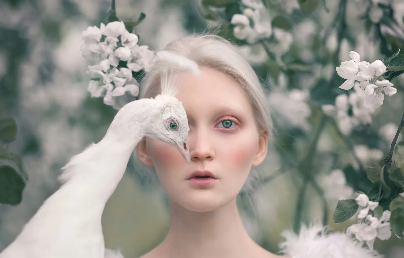 Photo wallpaper style, flowers, white hair, peacock, image, girl, flowering, Anastasia Dobrovolskaya