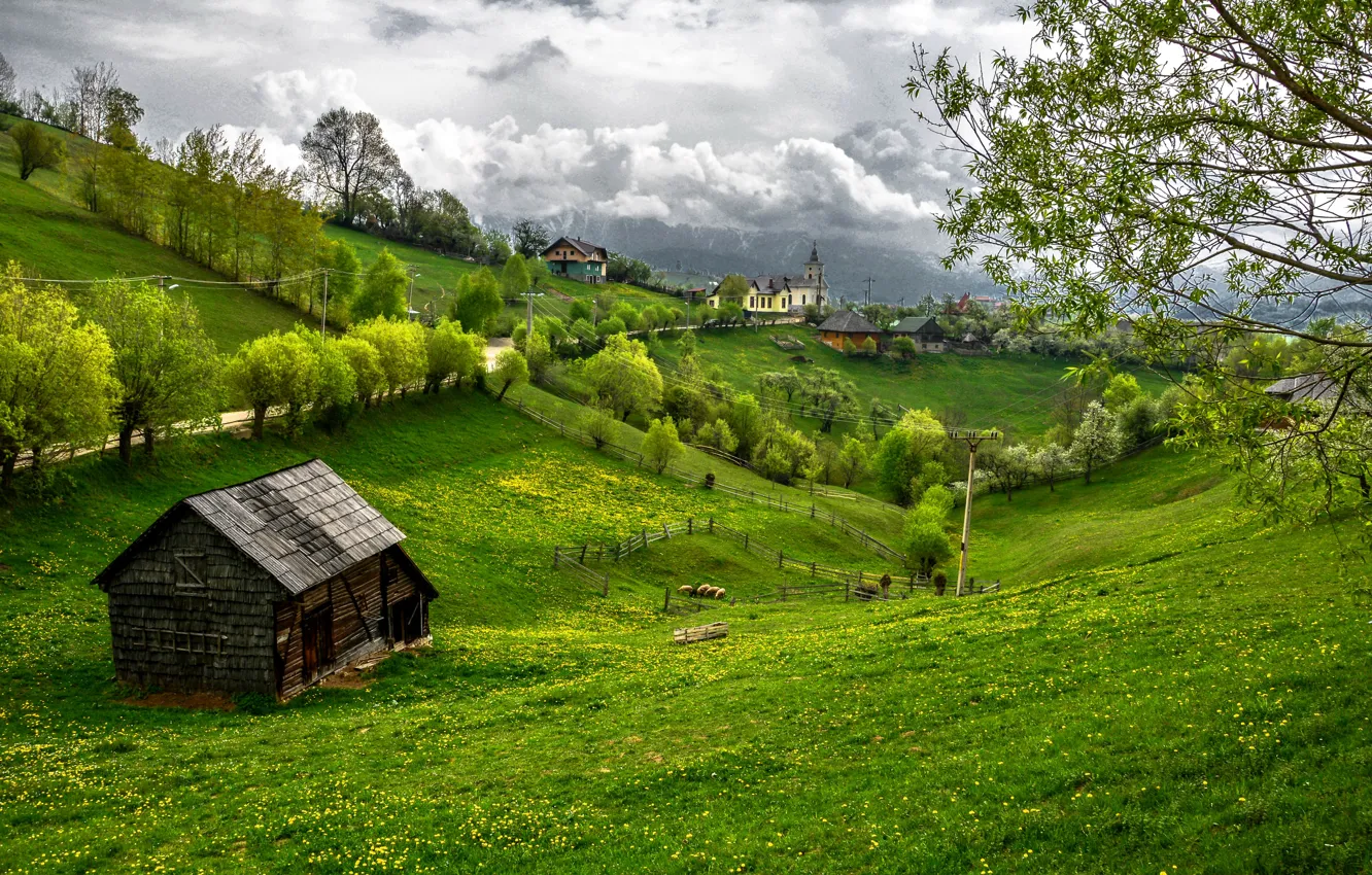 Photo wallpaper greens, grass, trees, home, Romania, Transylvania