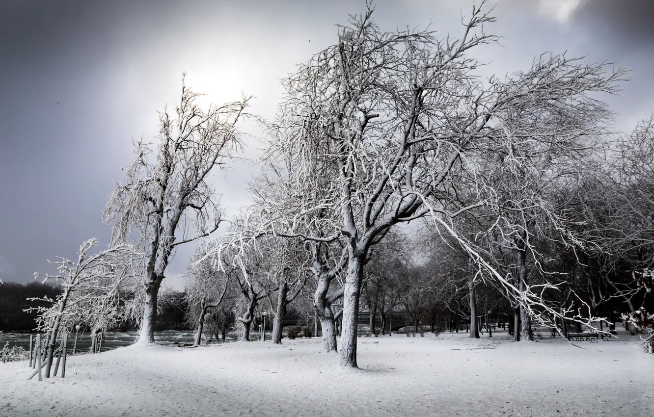 Photo wallpaper winter, snow, trees, New York, Niagara Falls, South End