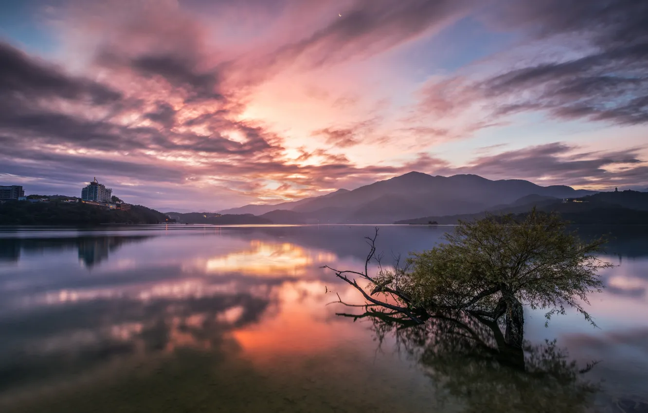 Photo wallpaper trees, the bushes, mountains, fog, shore, pond, haze, dal
