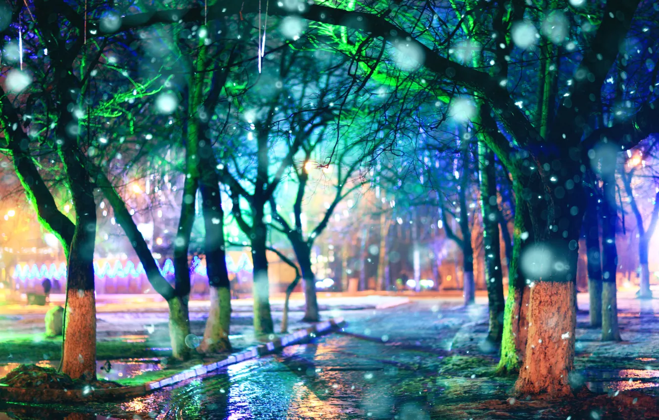 Photo wallpaper trees, rain, the evening, alley