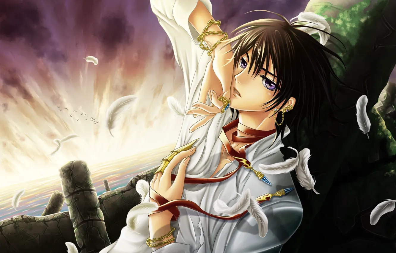 Photo wallpaper anime, art, guy, Code Geass, Code Geass, Lelouch