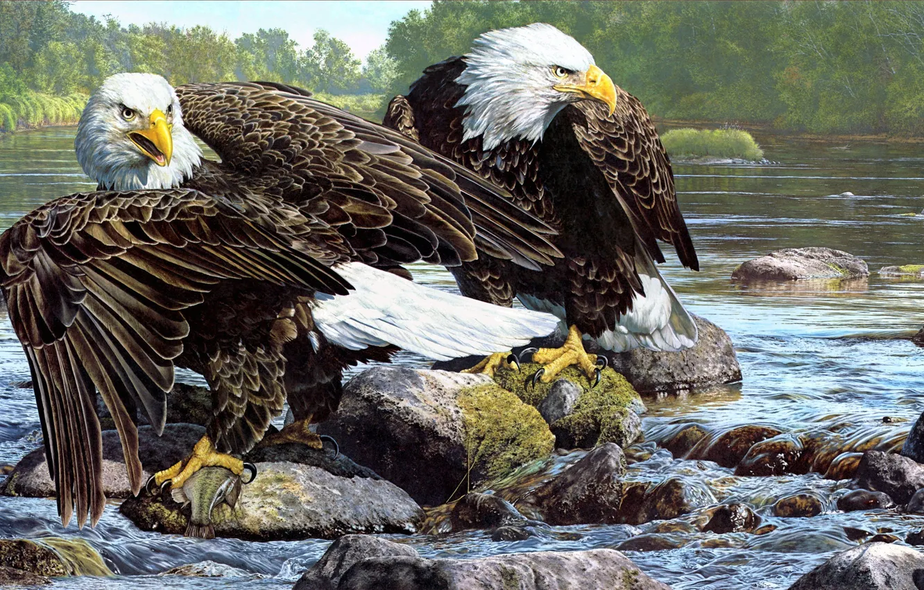 Photo wallpaper river, stones, bird, eagle, art, Brian Jarvi
