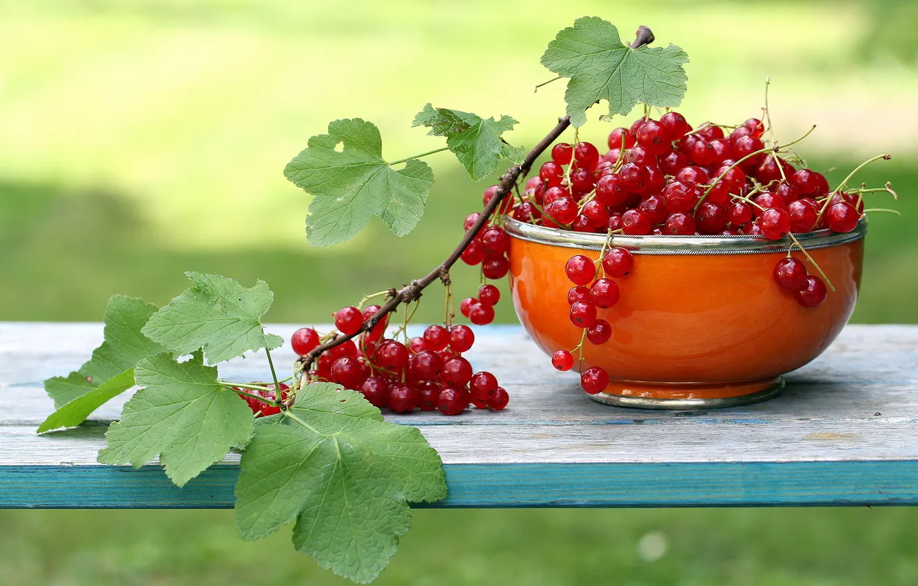 Photo wallpaper fruit, garden, currants, Garden