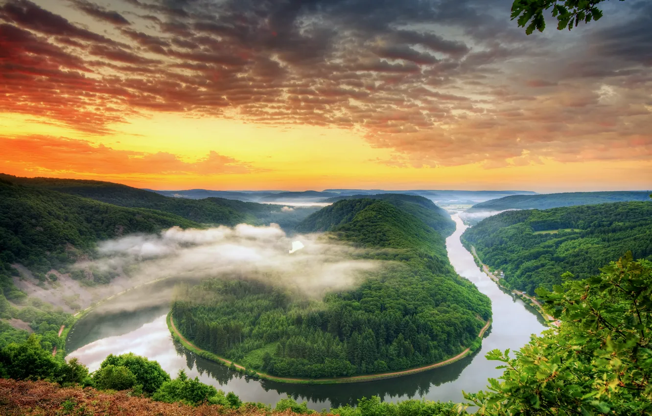 Photo wallpaper forest, the sky, clouds, trees, sunset, orange, bright, river