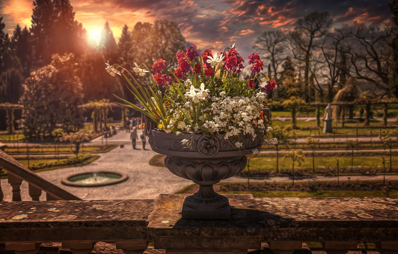Photo wallpaper Park, treatment, bouquet, pots, fading