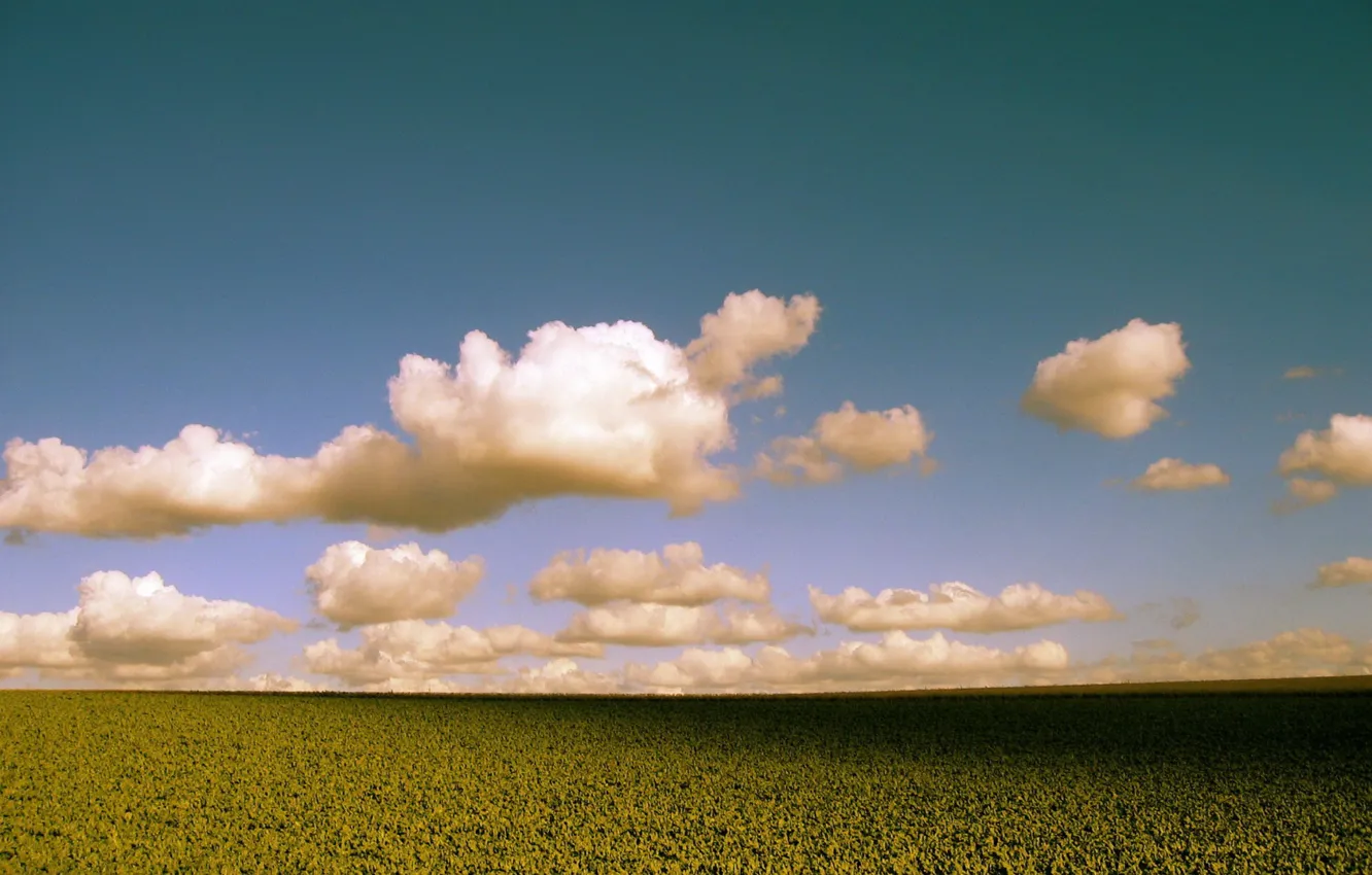 Photo wallpaper field, clouds, color