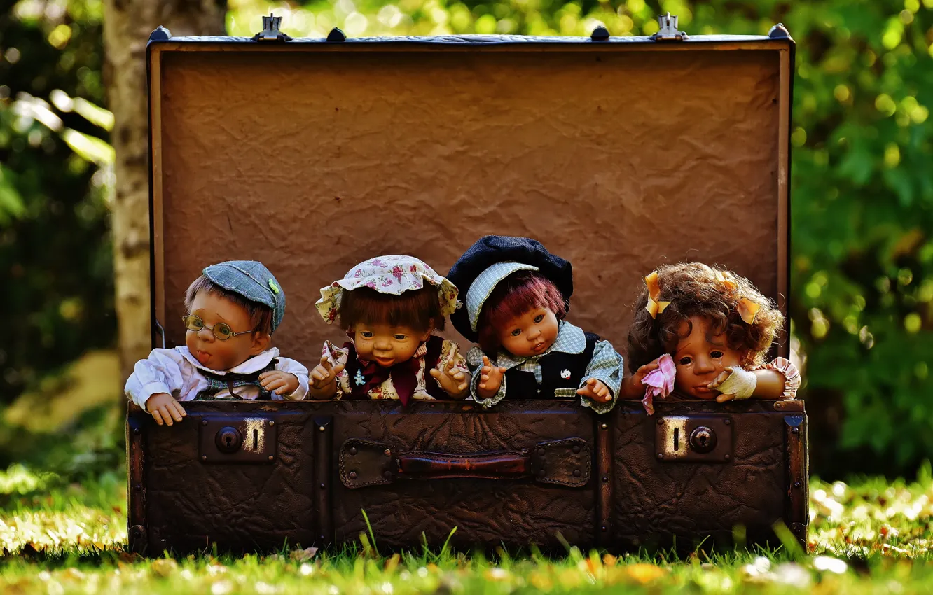 Photo wallpaper grass, nature, toys, doll, suitcase