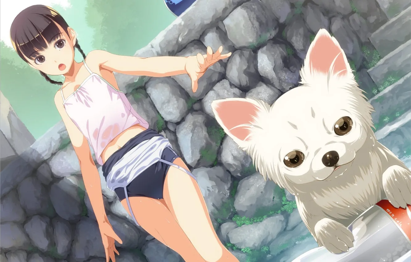 Photo wallpaper water, girl, bottle, dog, anime, art, sody