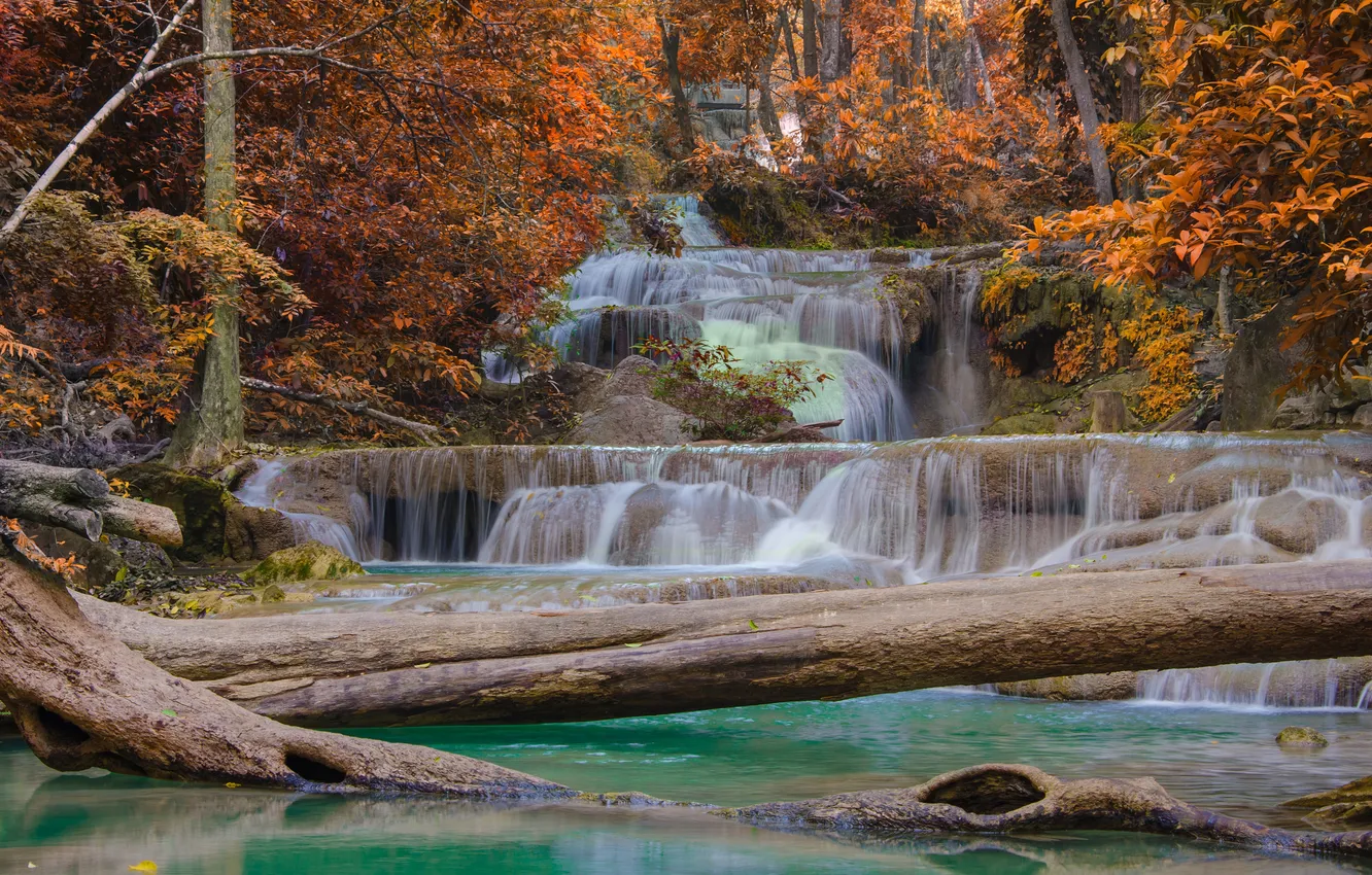Photo wallpaper autumn, forest, nature, waterfall, stream, forest, the trunks of the trees, nature