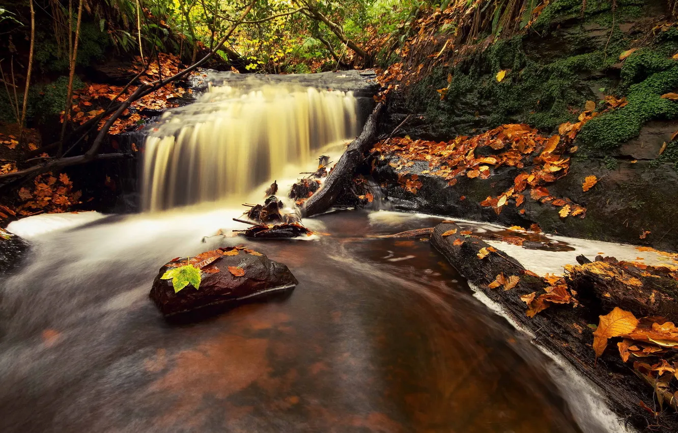 Photo wallpaper autumn, nature, river