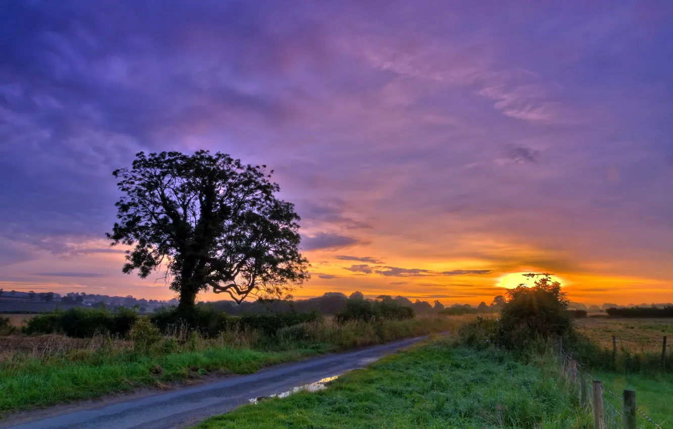 Photo wallpaper road, trees, landscape, sunset