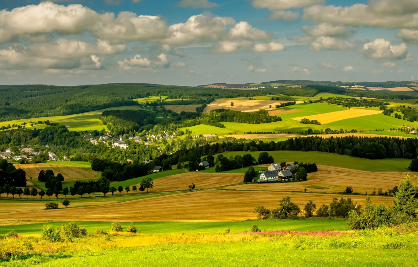 Photo wallpaper greens, field, forest, summer, the sky, grass, clouds, light
