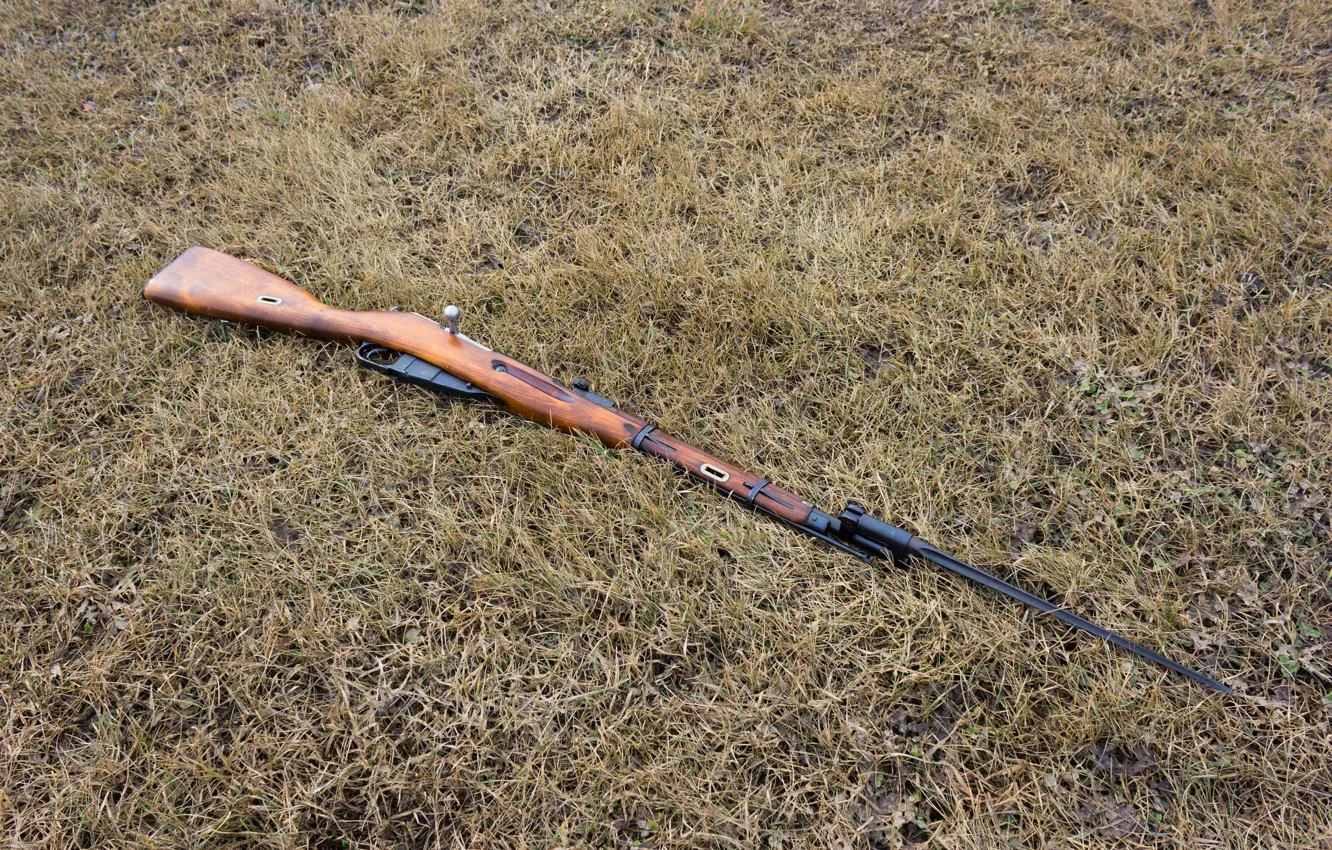 Photo wallpaper rifle, 1944, Mosin, store, M44