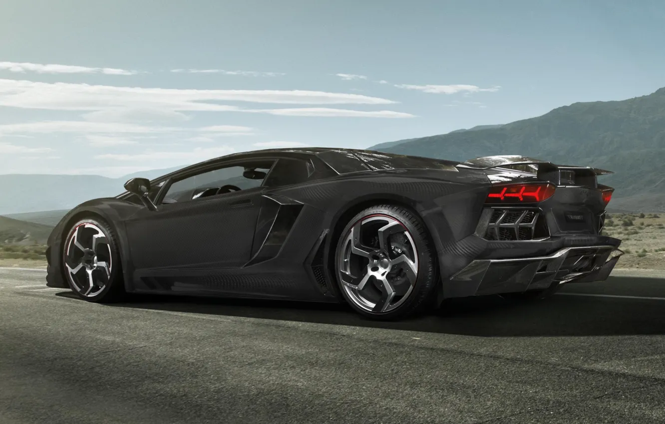 Photo wallpaper the sky, background, tuning, Lamborghini, supercar, carbon, rear view, tuning