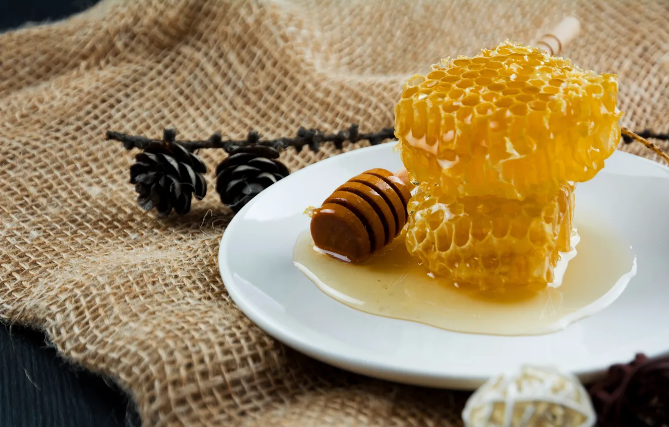 Photo wallpaper branches, table, cell, honey, plate, still life, bumps, burlap