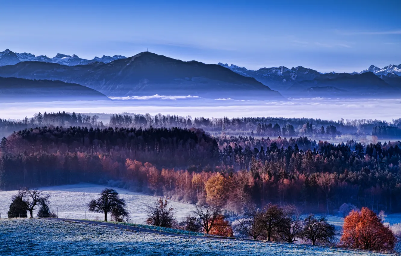 Photo wallpaper winter, autumn, snow, fog, morning, valley