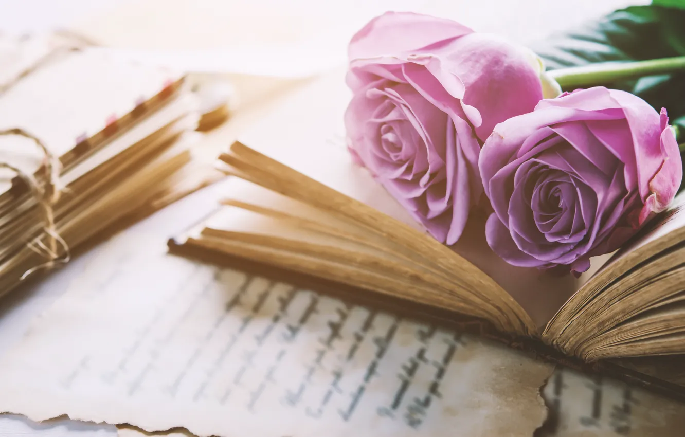 Photo wallpaper flowers, roses, bouquet, book, love, vintage, flowers, romantic