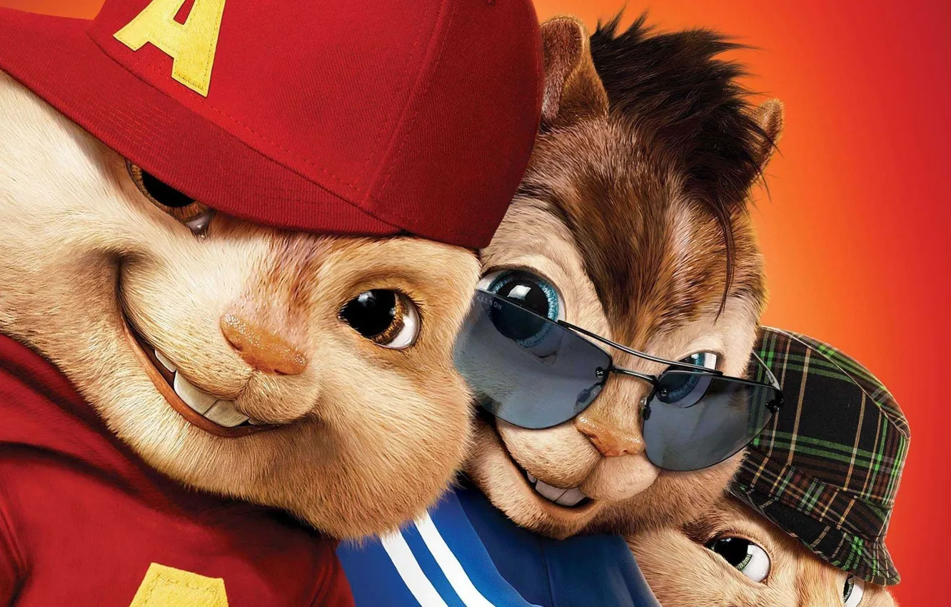 Photo wallpaper cinema, Music, animals, hat, style, eyes, smile, blue eyes