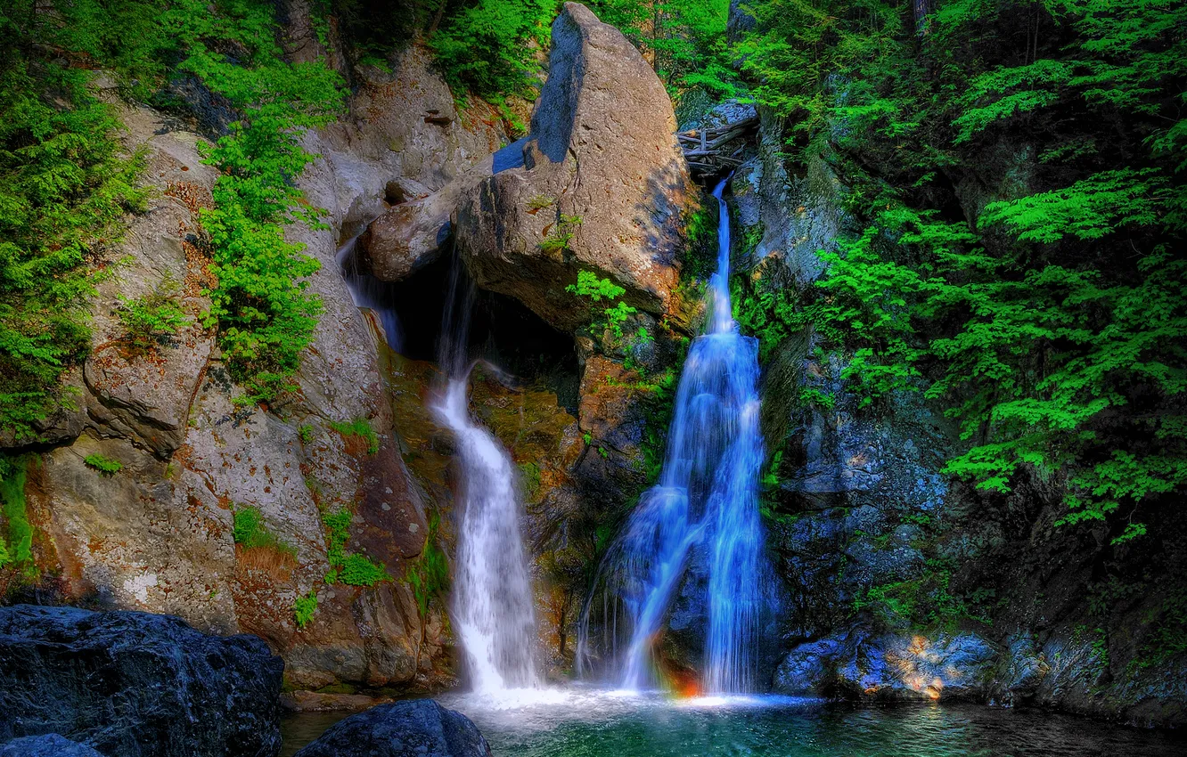 Photo wallpaper forest, trees, stones, rocks, waterfall, stream