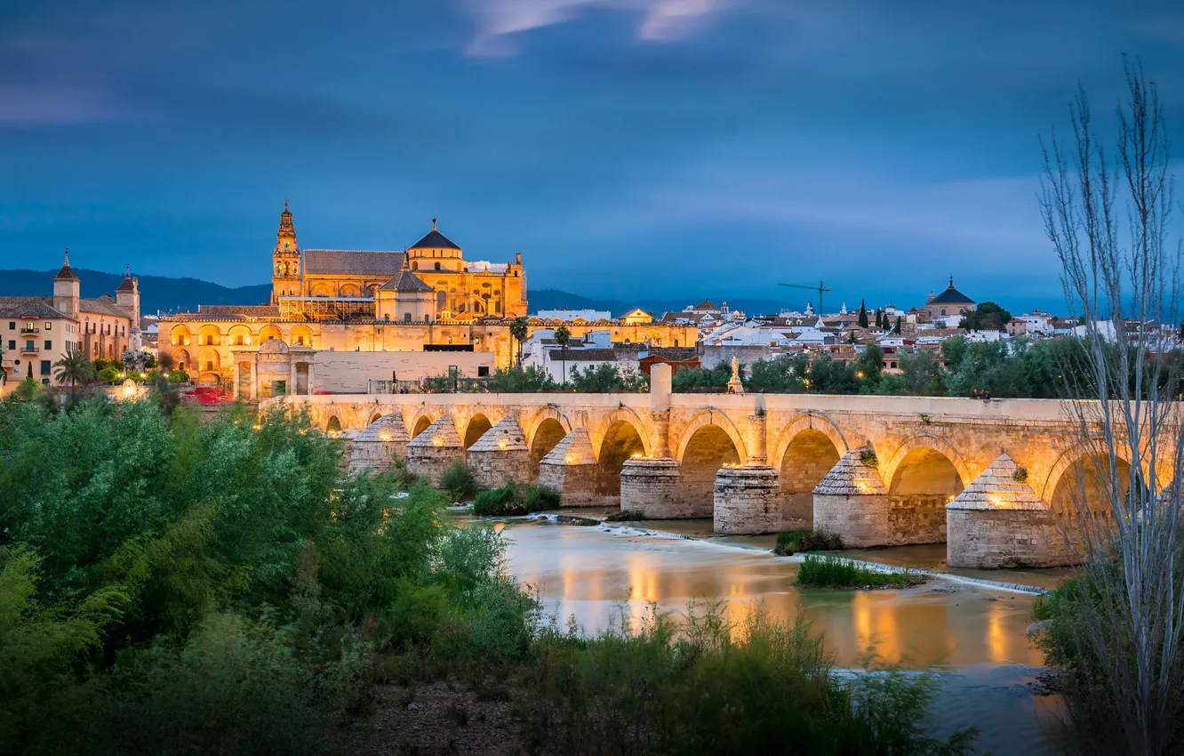 Photo wallpaper trees, bridge, river, Spain, Roman bridge, Spain, Andalusia, Andalusia
