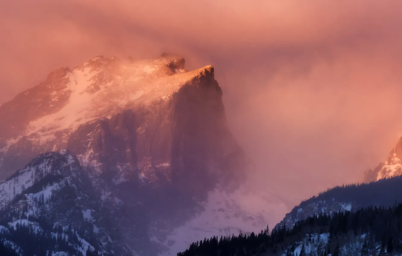Photo wallpaper forest, snow, dawn, mountain, haze, Hallet Peak, Rocky Mountain National Park