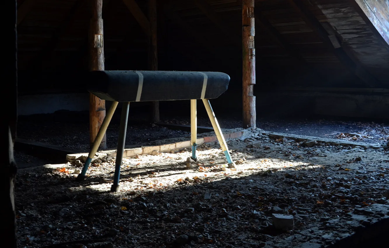 Photo wallpaper horse, sport, attic