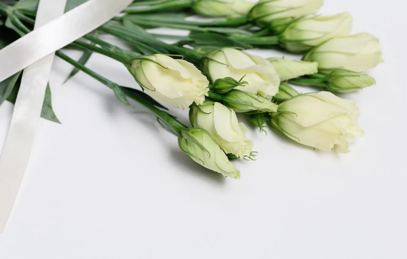 Photo wallpaper flowers, bouquet, tape, white, buds, eustoma