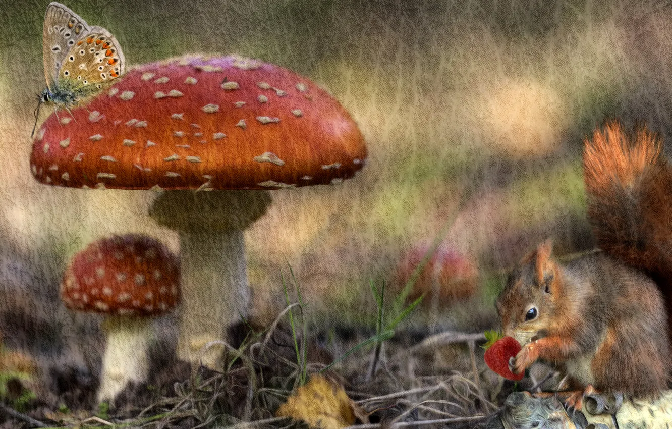 Photo wallpaper autumn, forest, berries, rendering, butterfly, mushrooms, treatment, texture