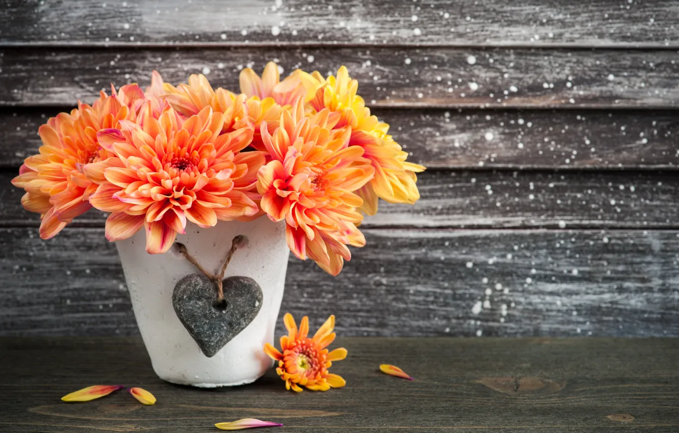 Photo wallpaper flowers, orange, chrysanthemum, pot