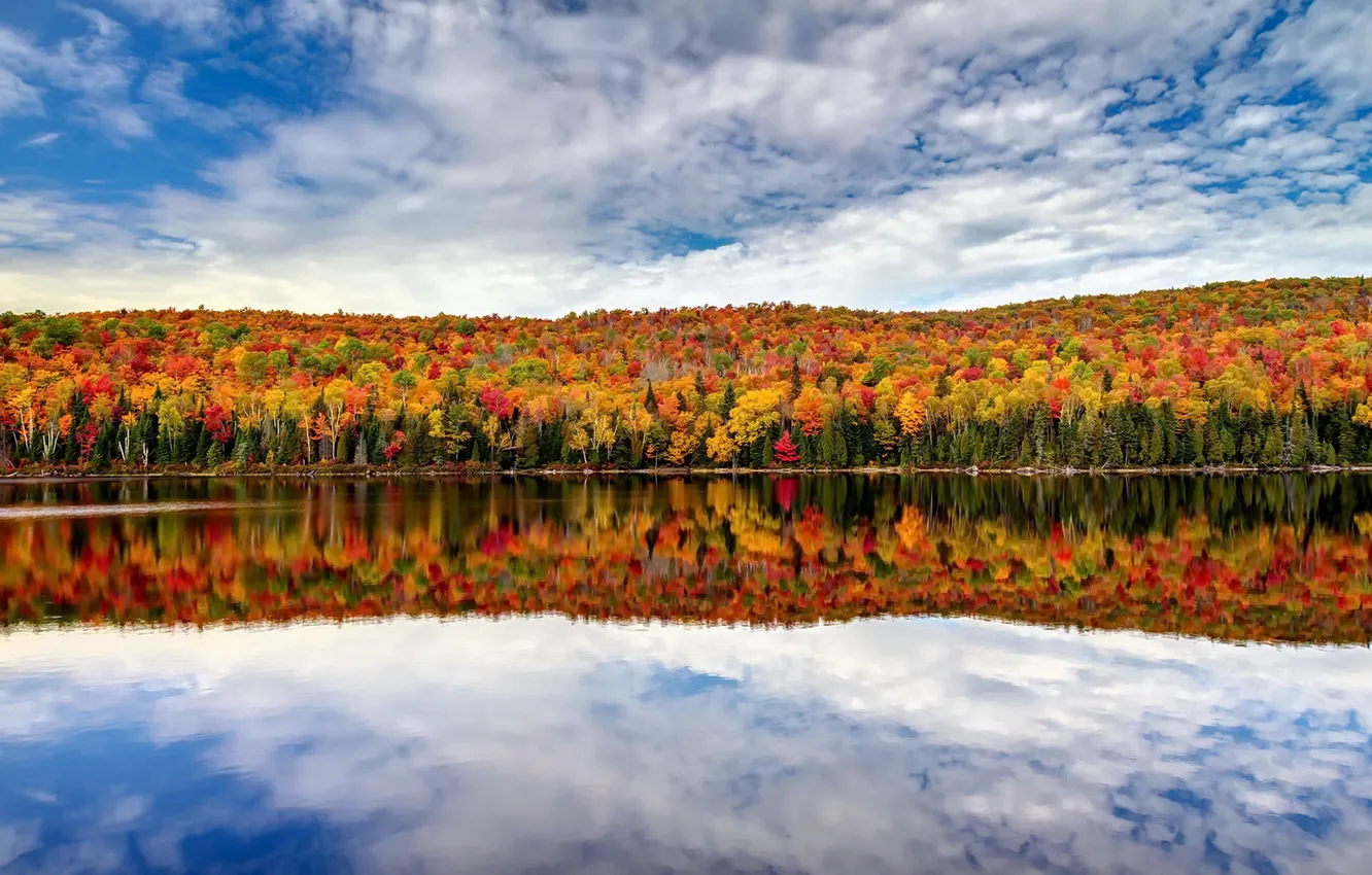 Photo wallpaper forest, the sky, lake, reflection