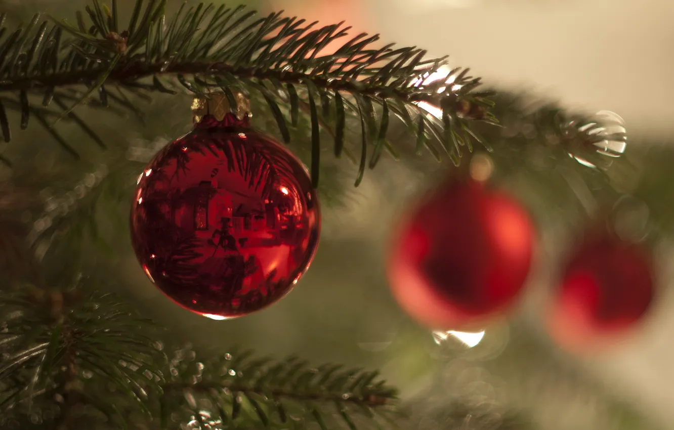 Photo wallpaper holiday, toy, tree