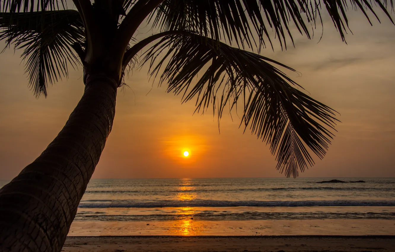 Photo wallpaper sand, sea, wave, beach, summer, sunset, palm trees, shore