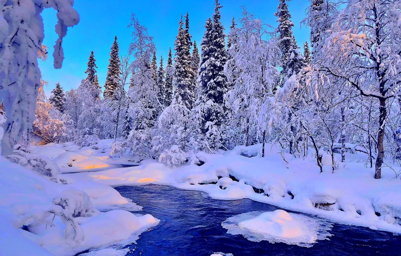 Photo wallpaper winter, forest, snow, trees, landscape, river, spruce