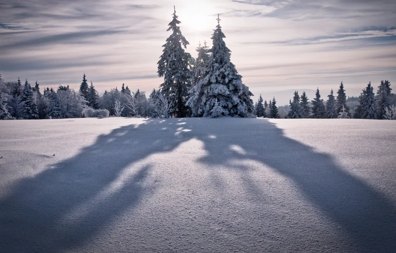 Photo wallpaper winter, the sky, the sun, snow, trees, mountains, nature, tree