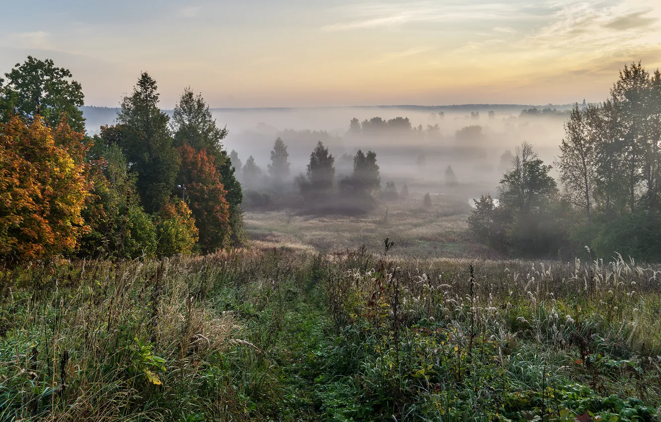 Photo wallpaper autumn, fog, morning, Alexander Medvedev