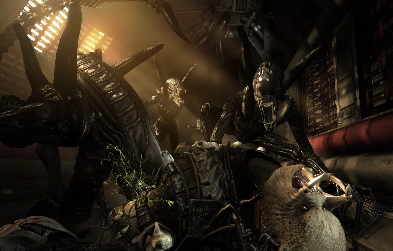 Photo wallpaper predator, Stranger, battle, aliens vs predatorps