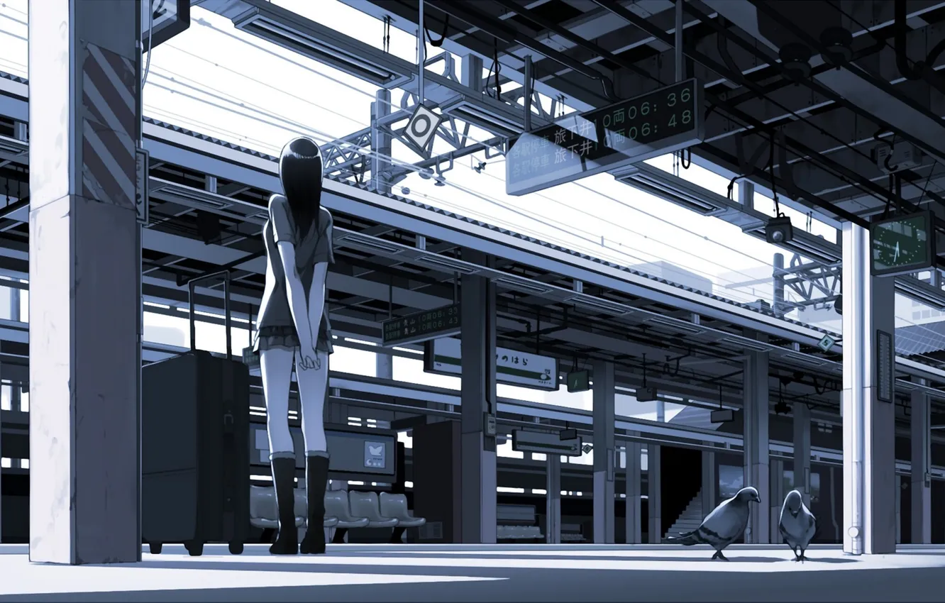 Photo wallpaper girl, bird, art, the platform, pigeons, black and white, suitcase, Luggage